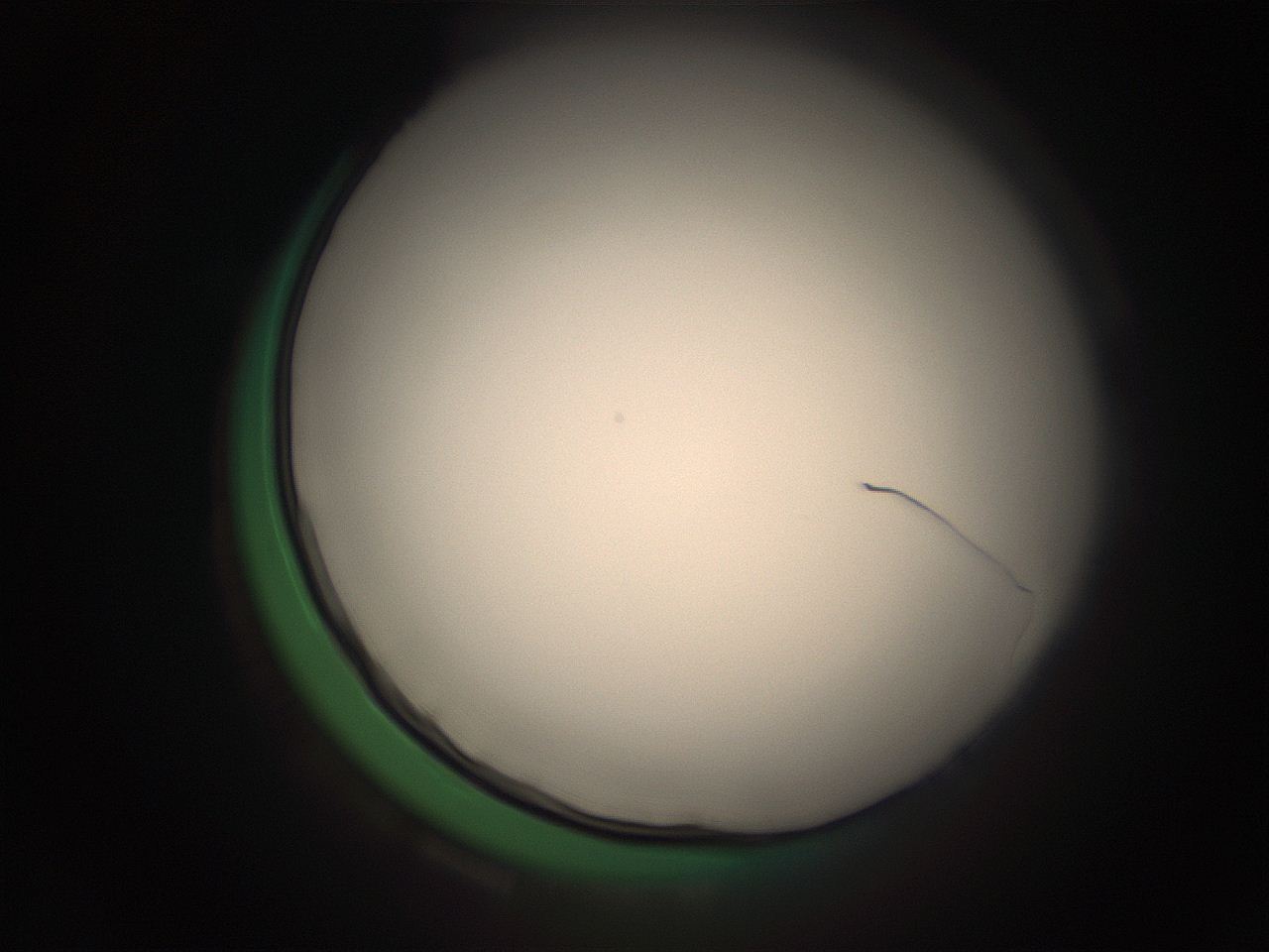 05r7_D2_ImagerDefaults_1.jpg