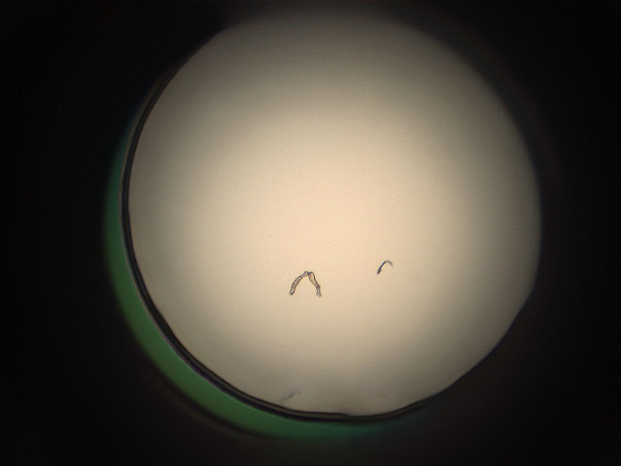 05r7_E1_ImagerDefaults_1.jpg