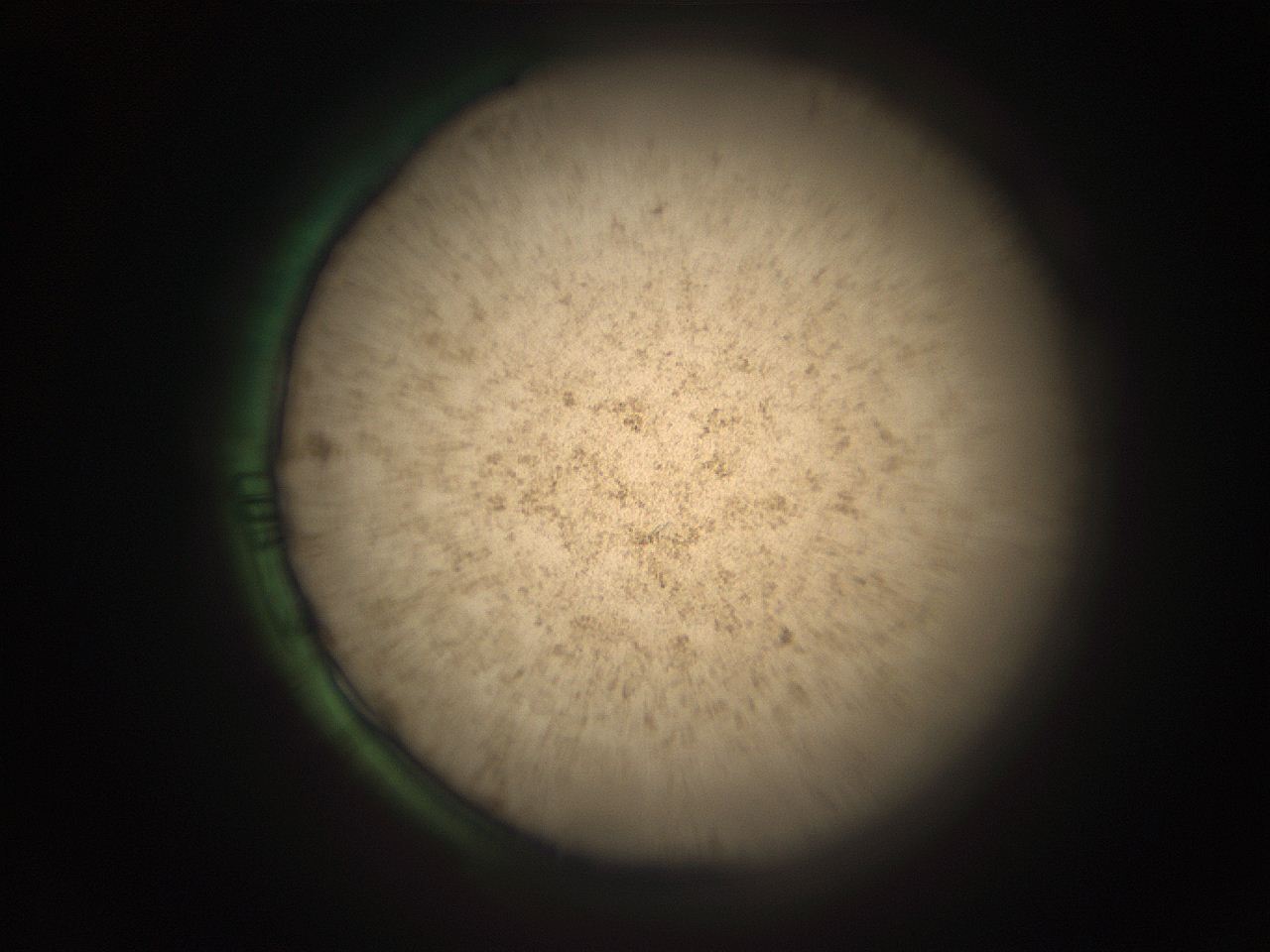 05r7_E13_ImagerDefaults_9.jpg