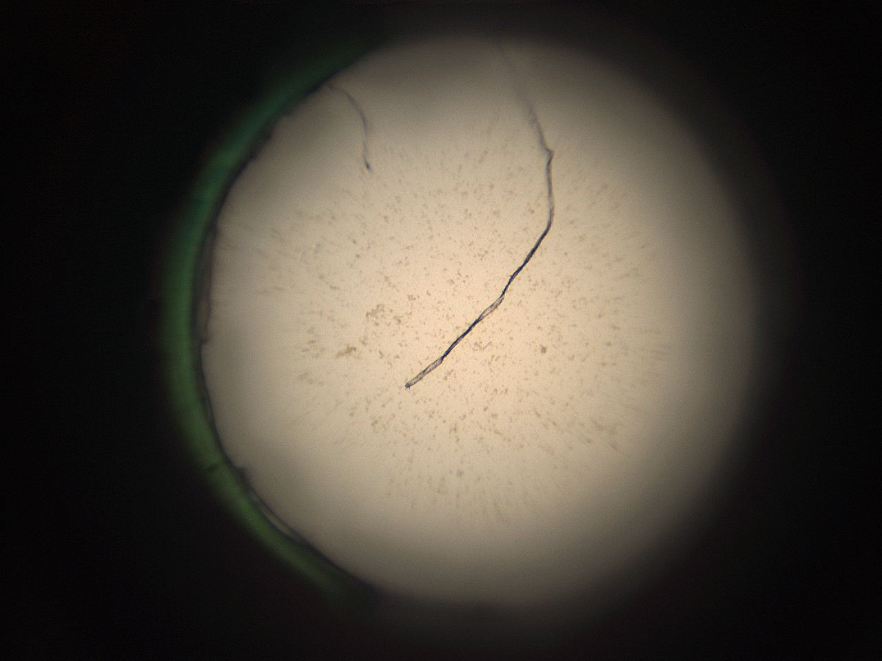 05r7_E14_ImagerDefaults_9.jpg