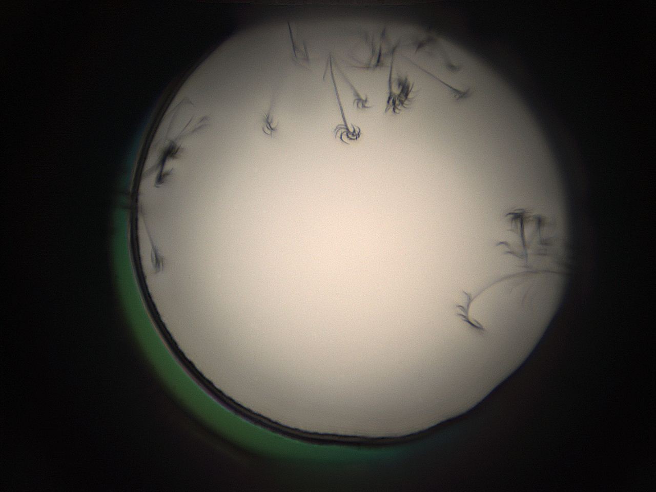 05r7_F1_ImagerDefaults_9.jpg