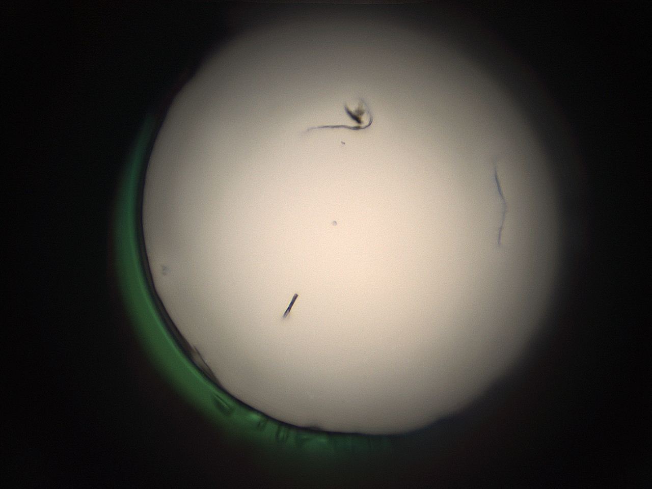 05r7_G3_ImagerDefaults_1.jpg