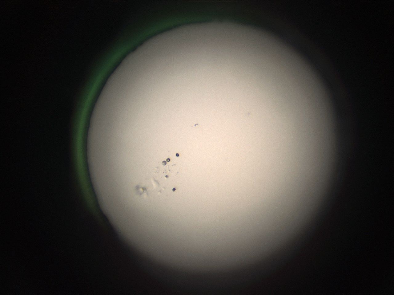 05r7_G21_ImagerDefaults_1.jpg
