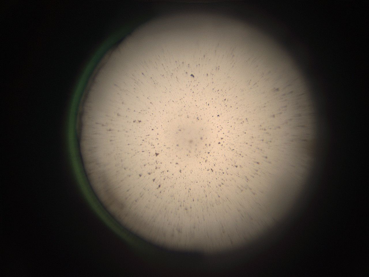 05r7_H14_ImagerDefaults_9.jpg