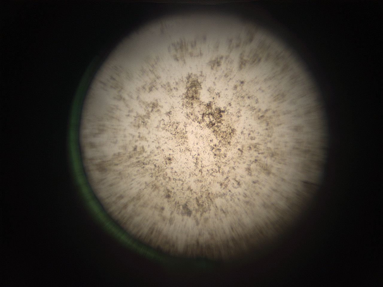 05r7_J13_ImagerDefaults_9.jpg
