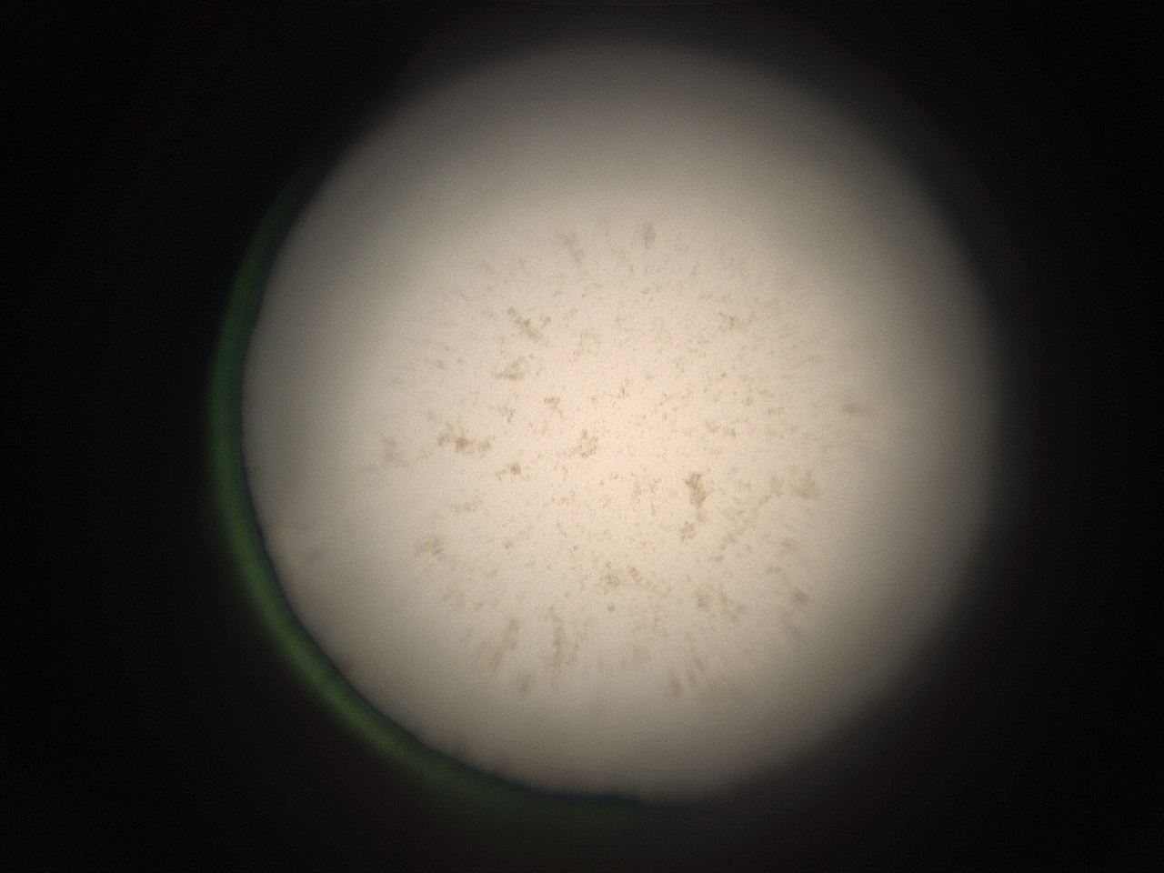 05r7_J15_ImagerDefaults_9.jpg