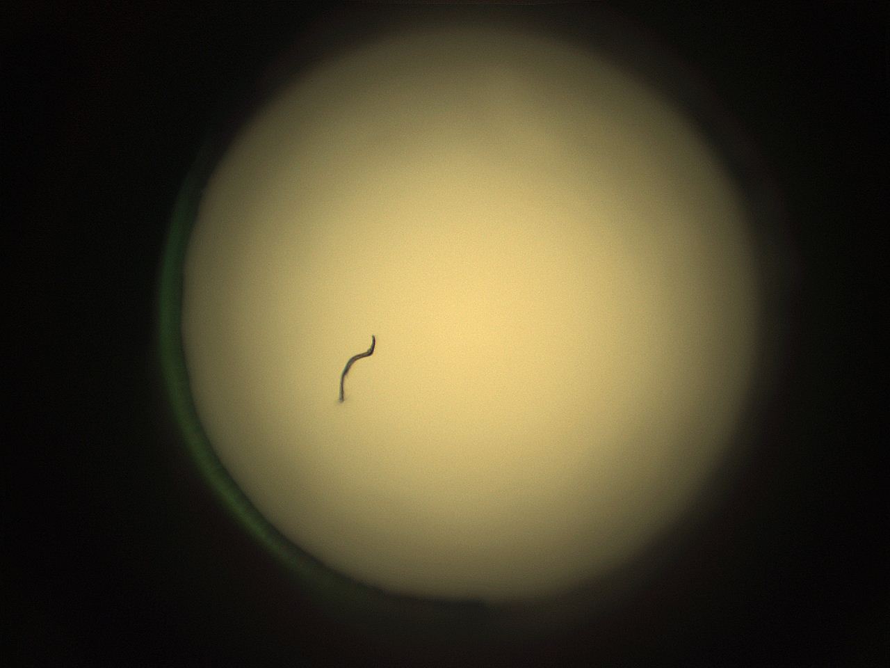 05r7_K14_ImagerDefaults_1.jpg