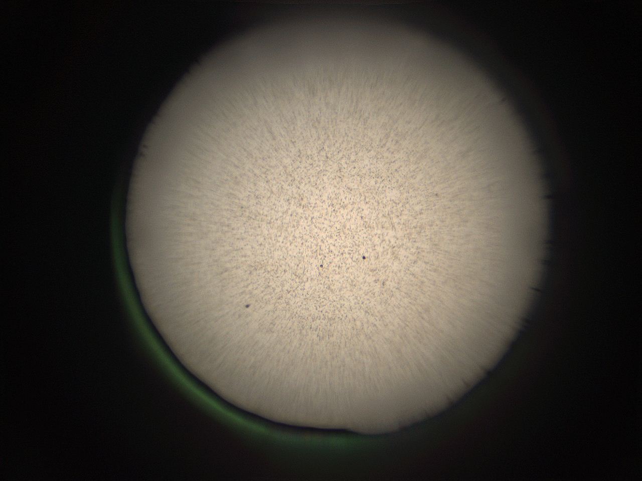 05r7_N13_ImagerDefaults_9.jpg