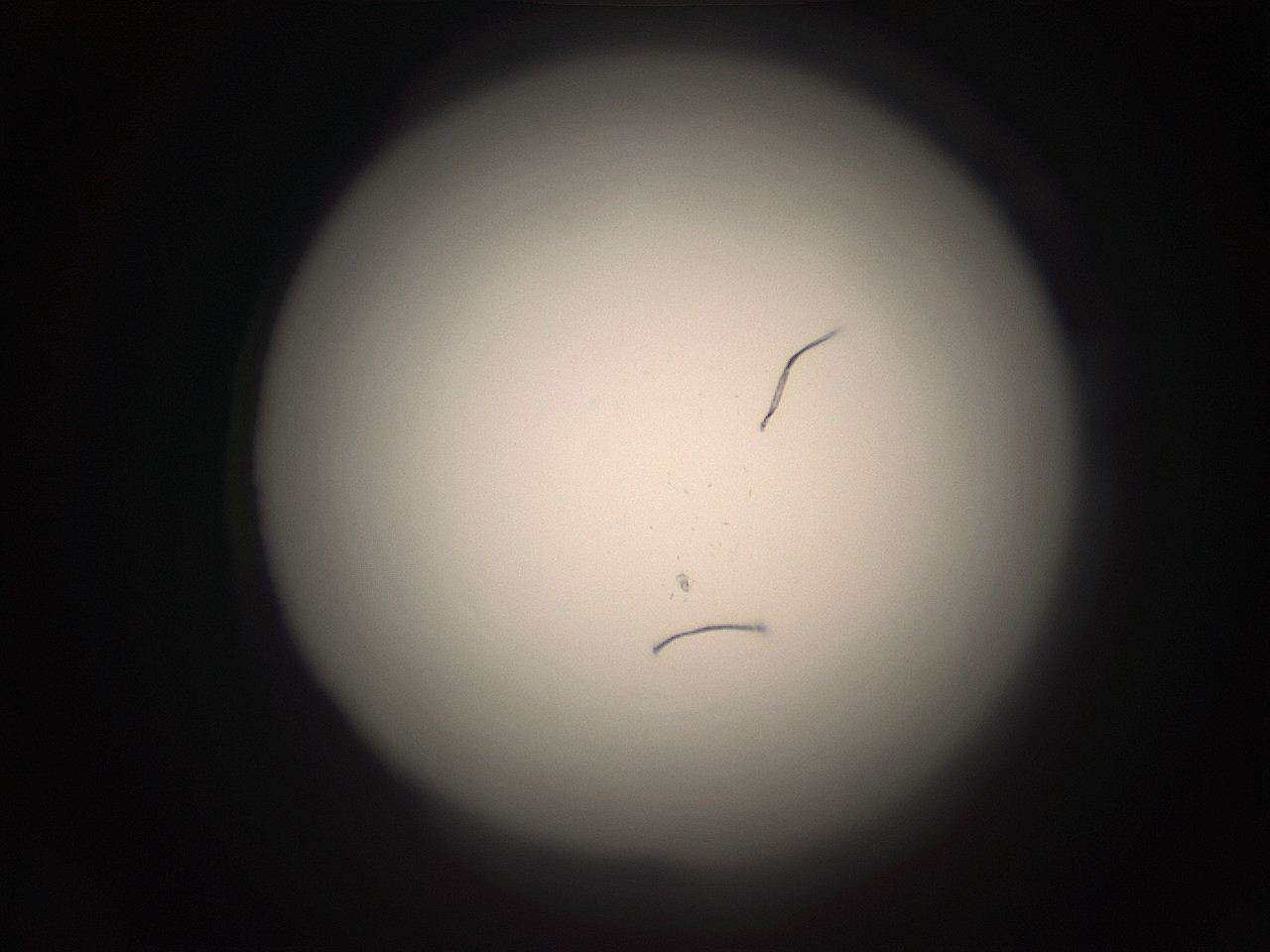 05r7_N18_ImagerDefaults_1.jpg