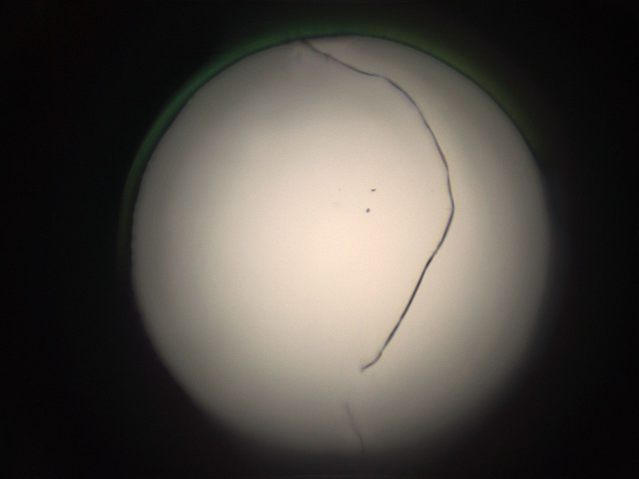 05r8_B16_ImagerDefaults_1.jpg