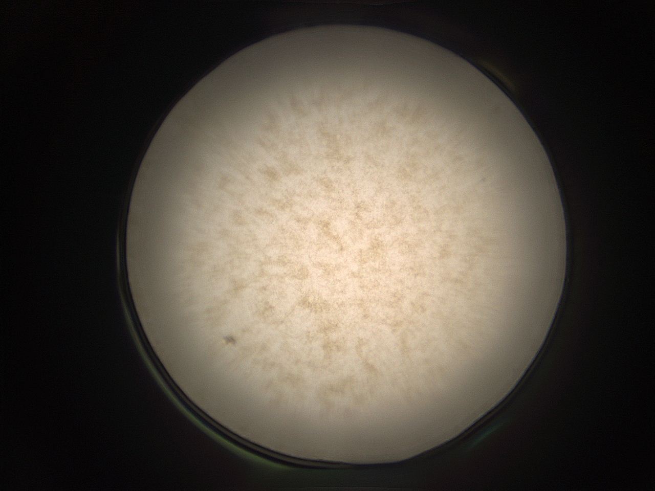 05r8_D1_ImagerDefaults_9.jpg