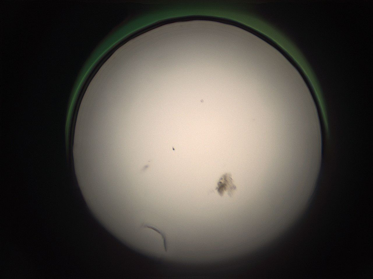 05r8_D24_ImagerDefaults_1.jpg