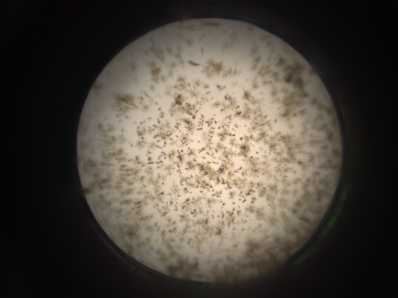 05r8_G1_ImagerDefaults_9.jpg