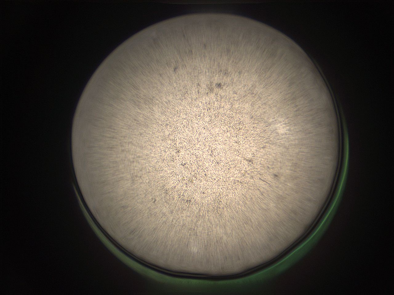 05r8_I1_ImagerDefaults_9.jpg
