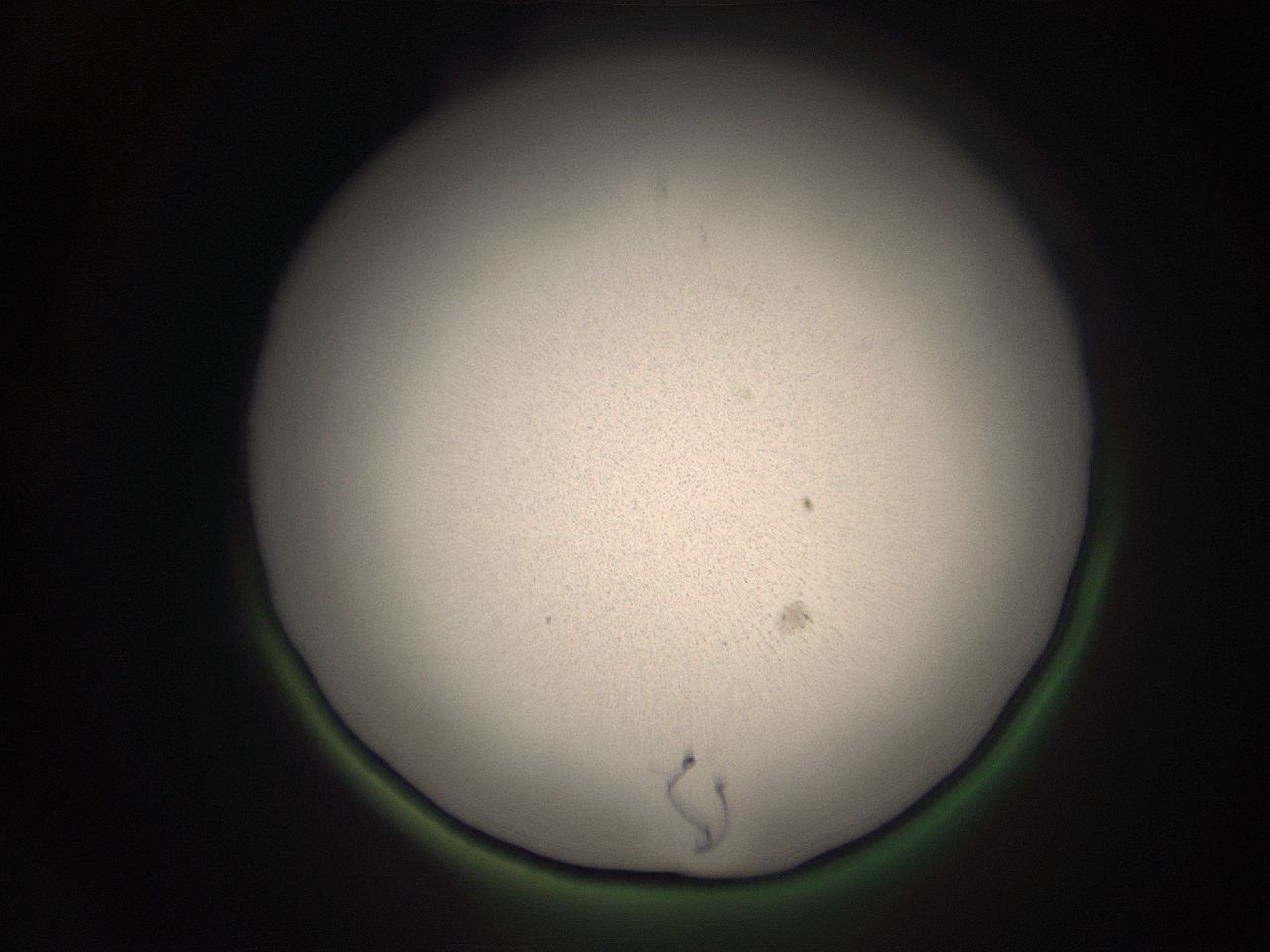 05r8_I4_ImagerDefaults_9.jpg