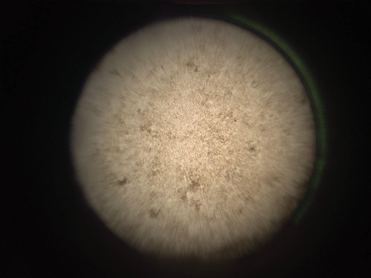 05r8_J13_ImagerDefaults_9.jpg