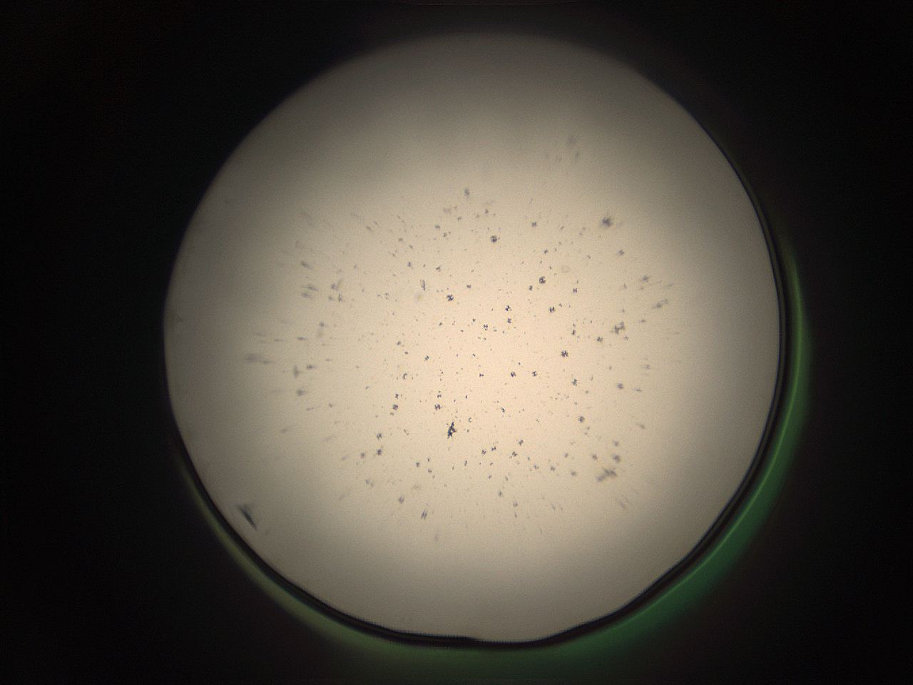 05r8_K1_ImagerDefaults_9.jpg
