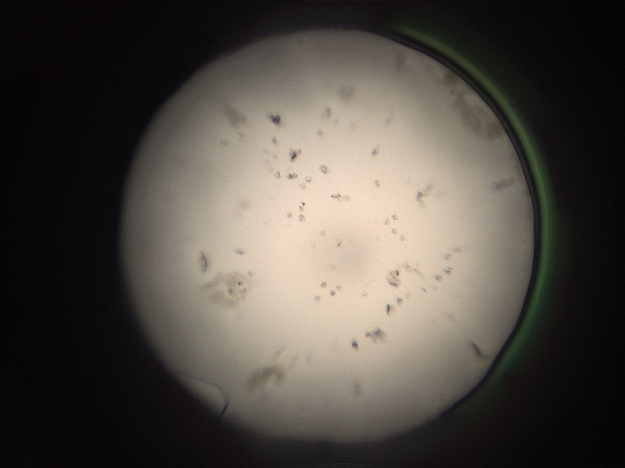 05r8_M14_ImagerDefaults_9.jpg