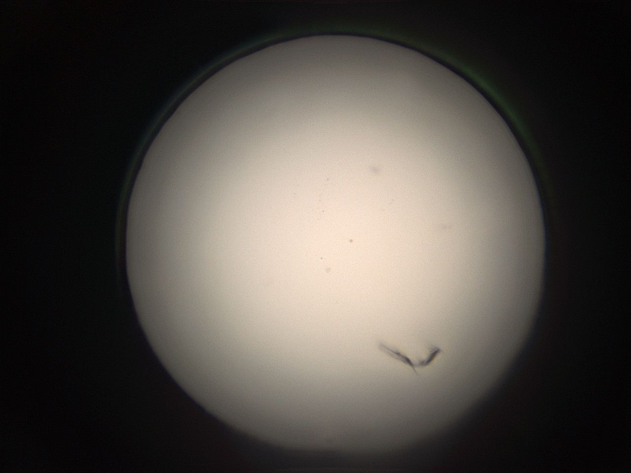 05r9_A3_ImagerDefaults_1.jpg