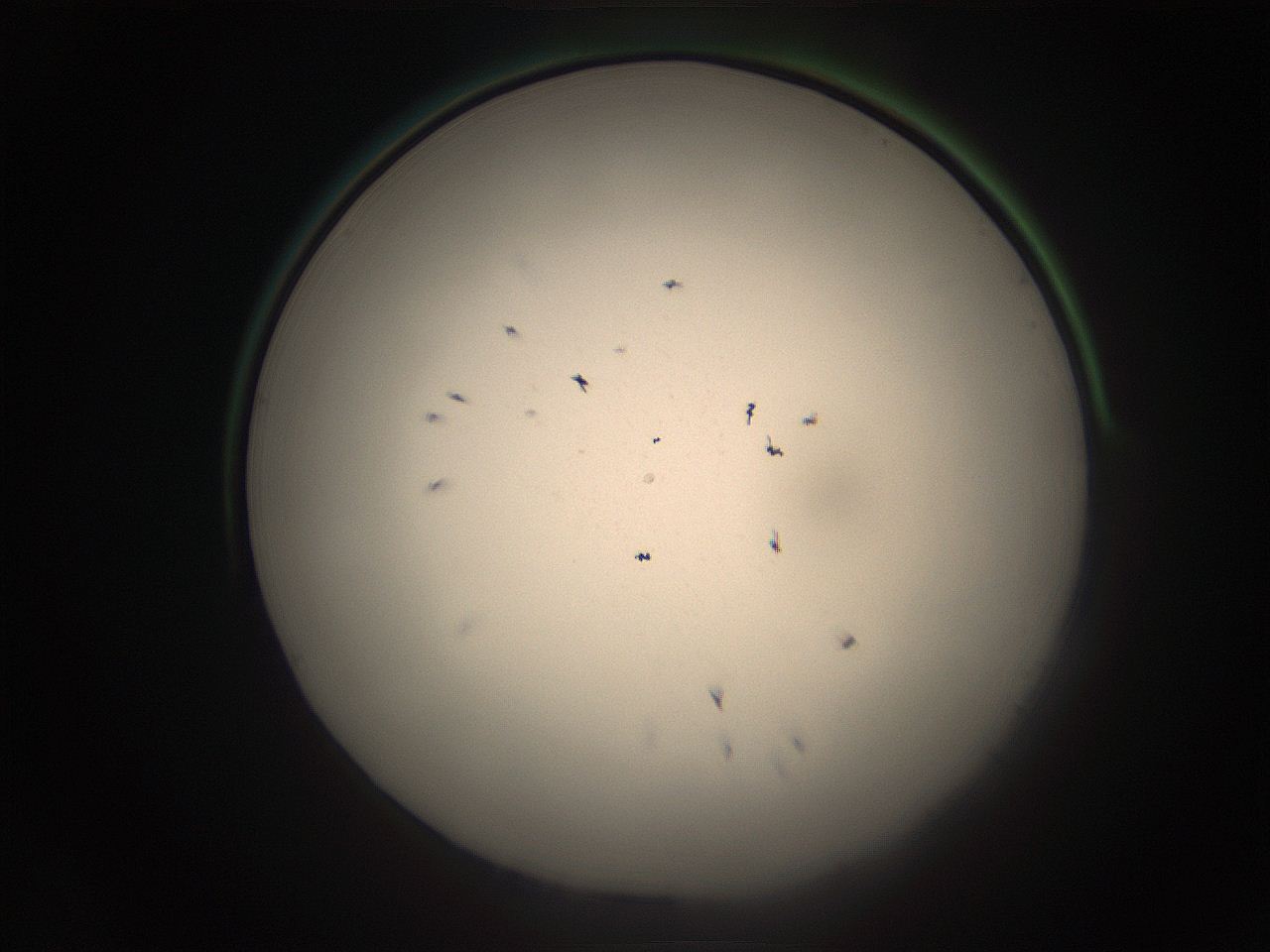 05r9_A13_ImagerDefaults_9.jpg