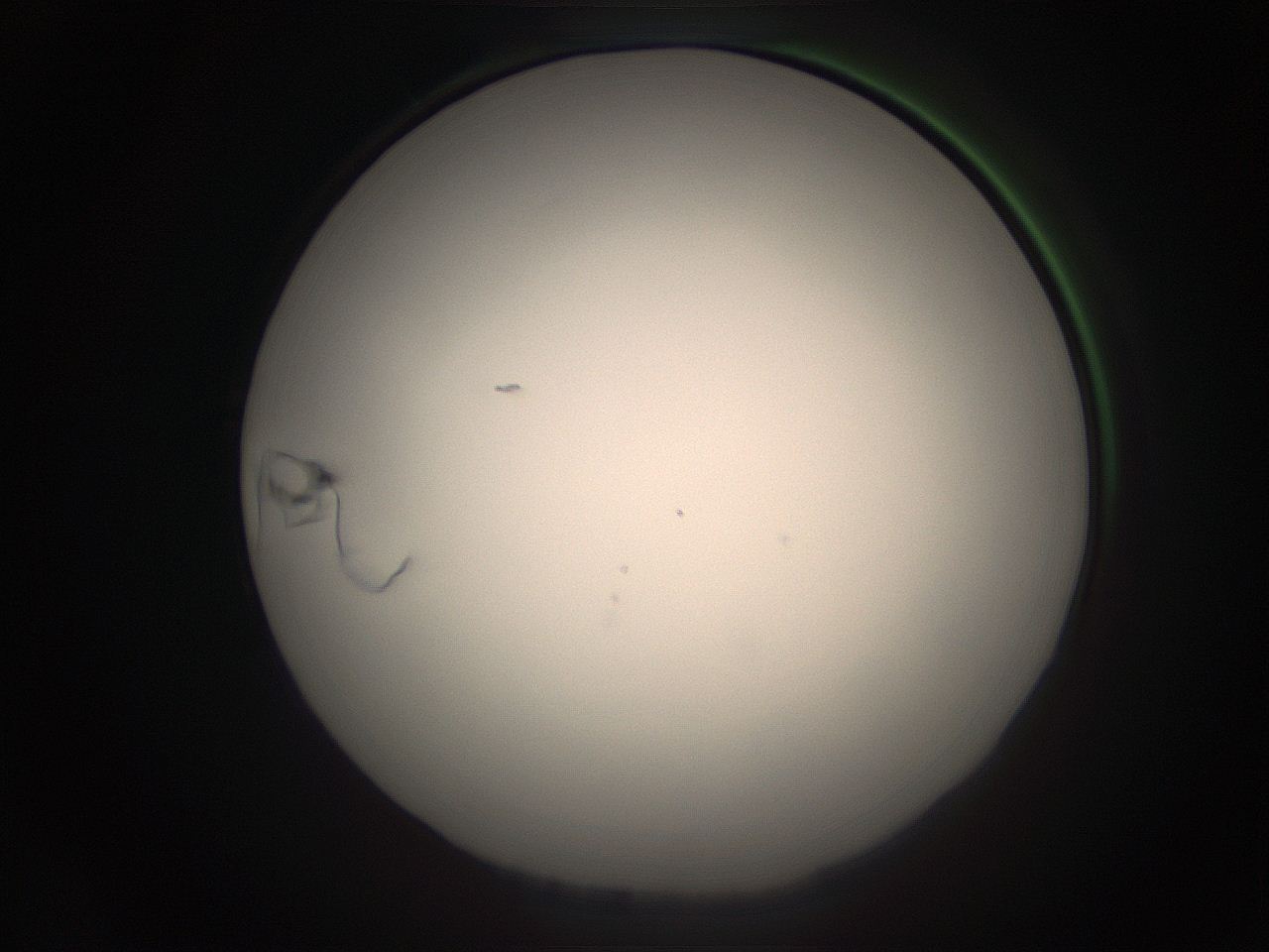 05r9_B19_ImagerDefaults_1.jpg