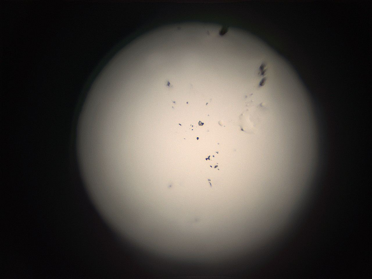 05r9_E6_ImagerDefaults_1.jpg