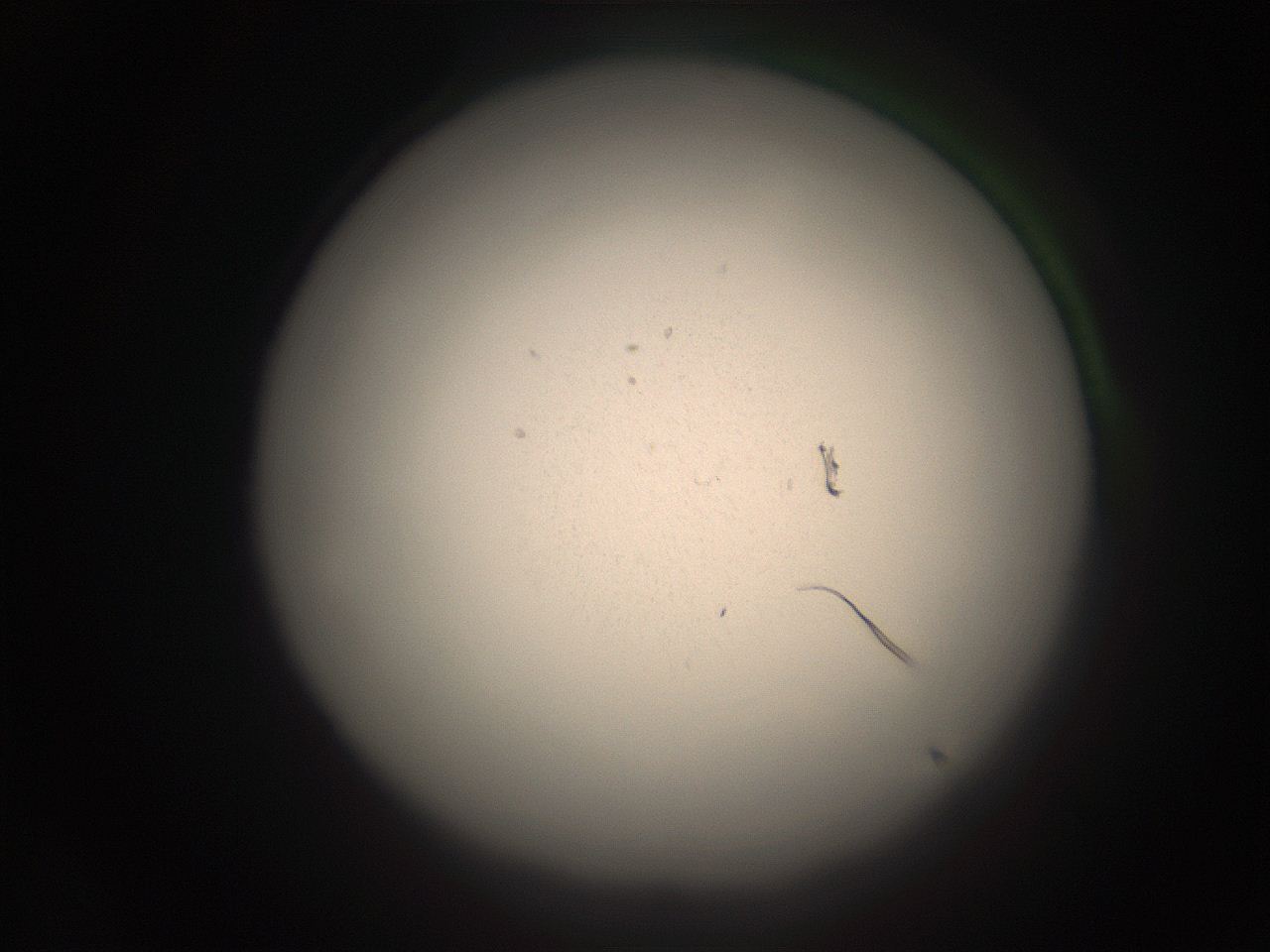 05r9_F15_ImagerDefaults_9.jpg