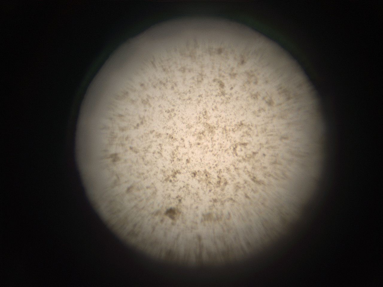 05r9_H13_ImagerDefaults_9.jpg