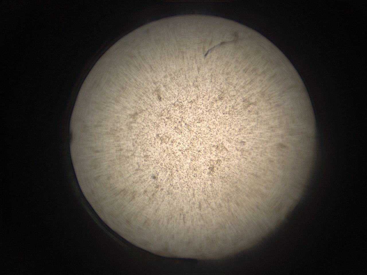05r9_I1_ImagerDefaults_9.jpg