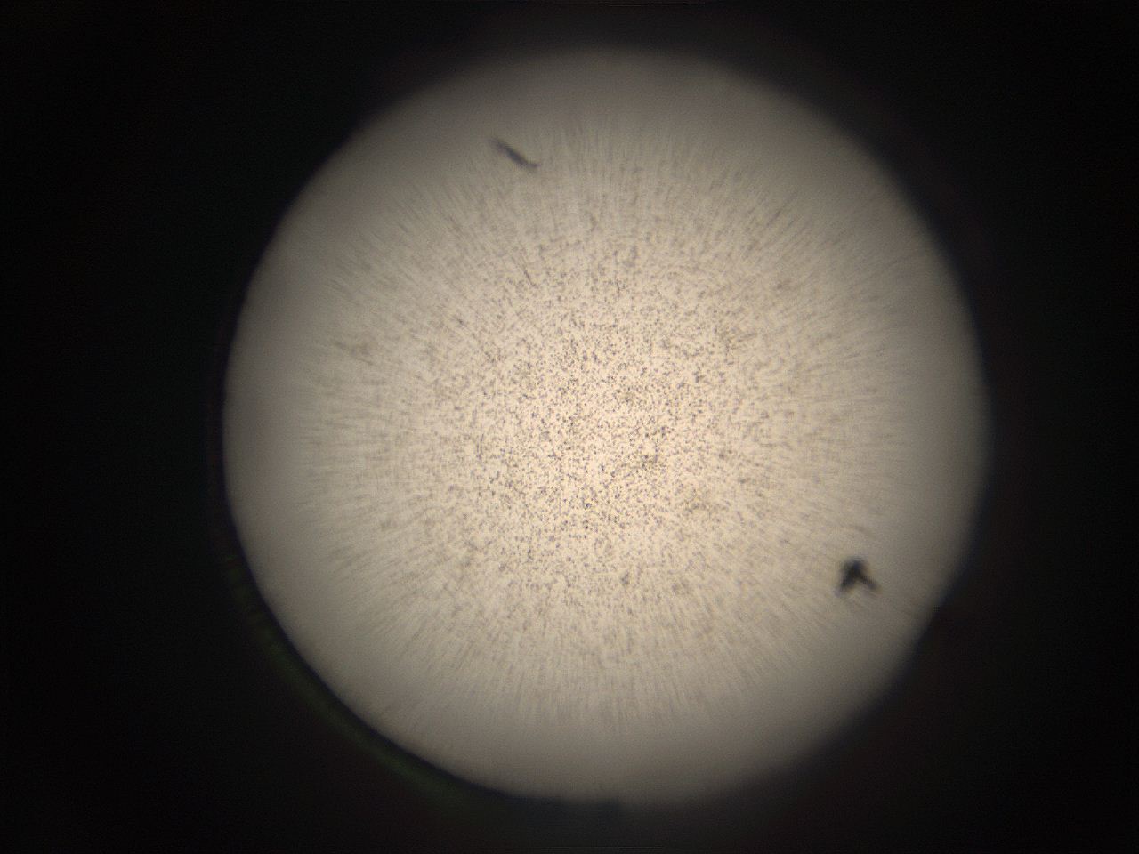 05r9_I2_ImagerDefaults_9.jpg
