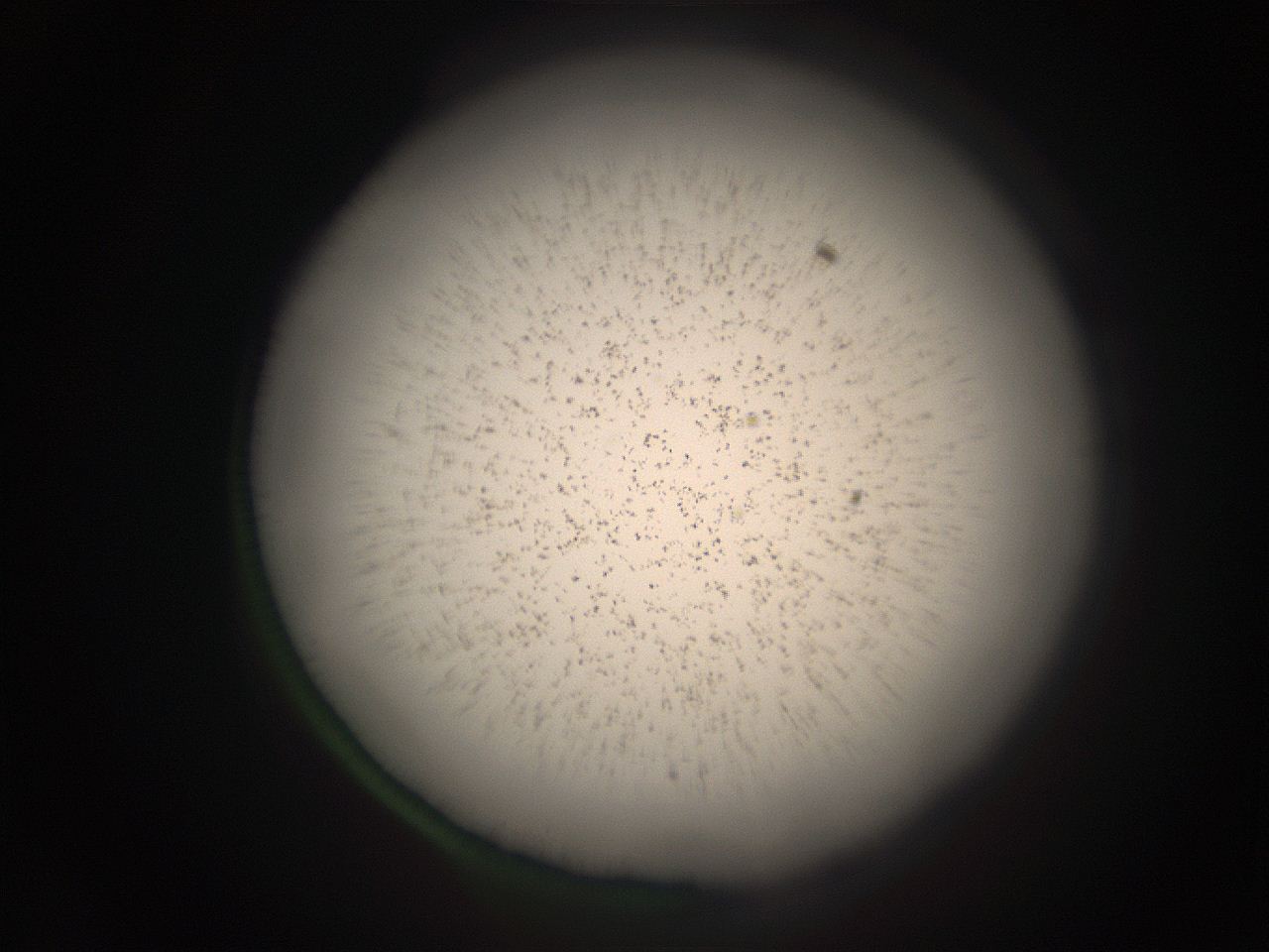 05r9_I3_ImagerDefaults_9.jpg