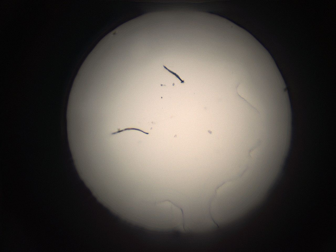 05r9_I21_ImagerDefaults_1.jpg