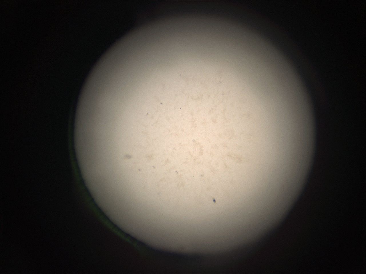 05r9_J4_ImagerDefaults_9.jpg