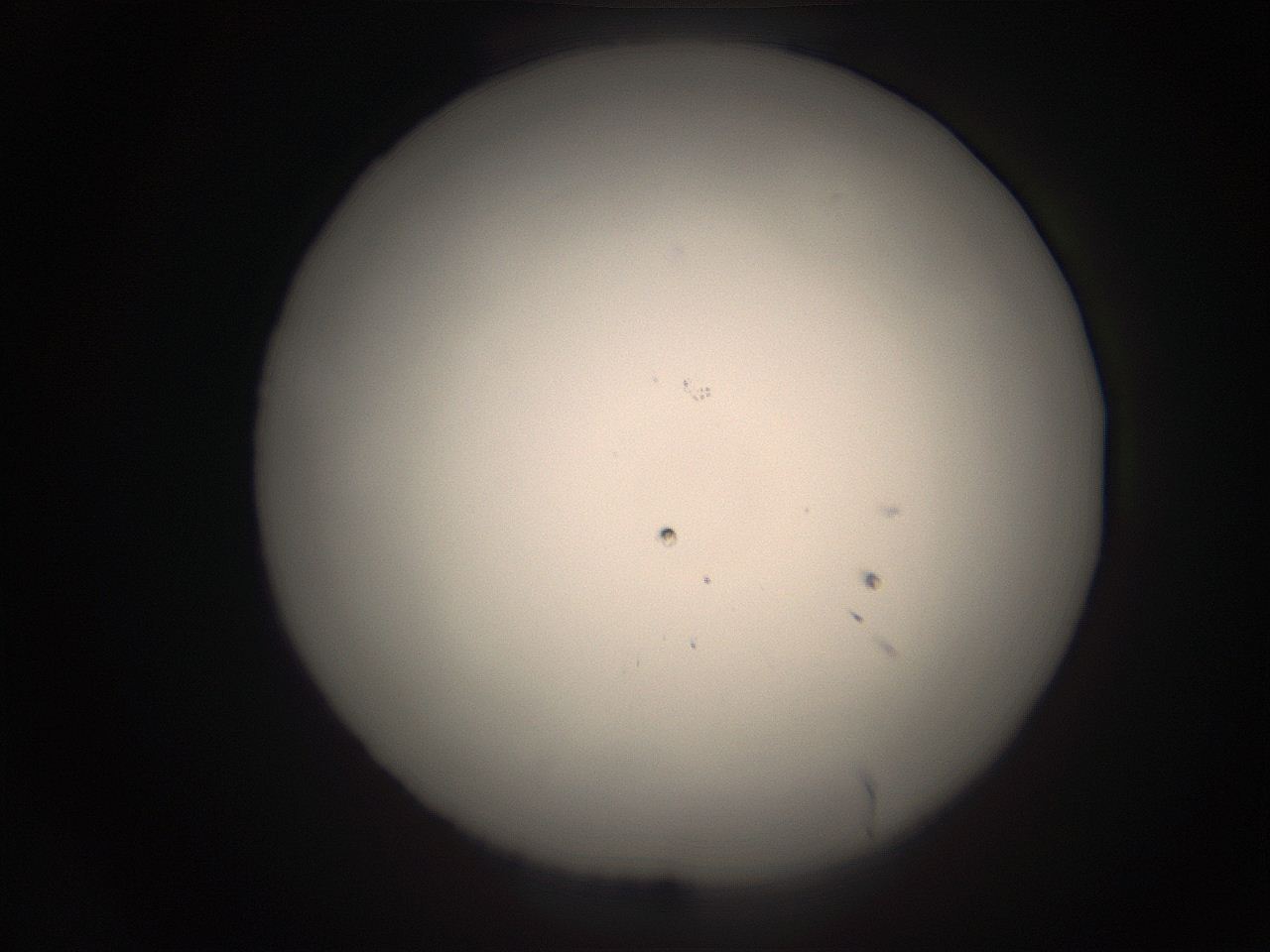 05r9_J20_ImagerDefaults_1.jpg