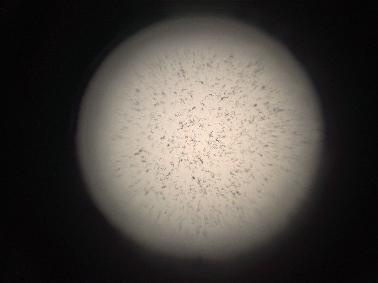05r9_K14_ImagerDefaults_9.jpg
