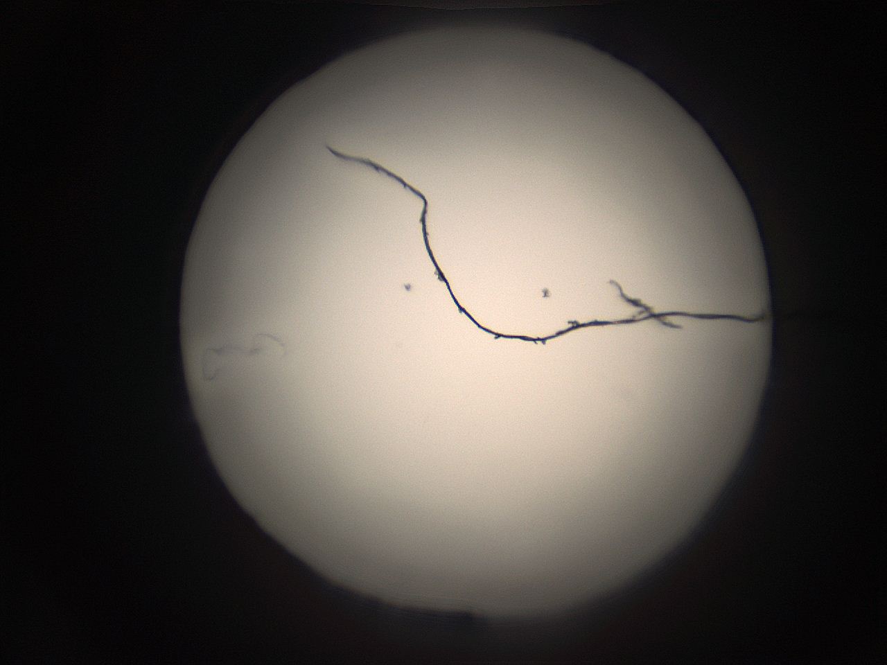 05r9_K20_ImagerDefaults_1.jpg