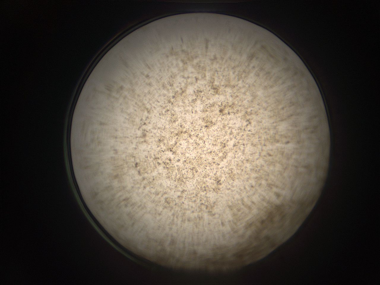 05r9_L1_ImagerDefaults_9.jpg
