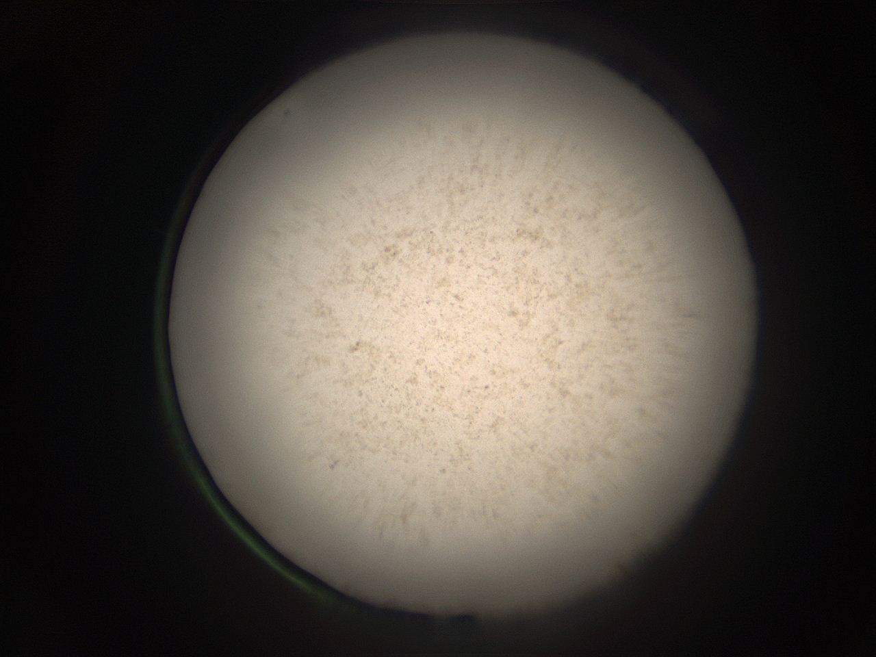 05r9_L2_ImagerDefaults_9.jpg