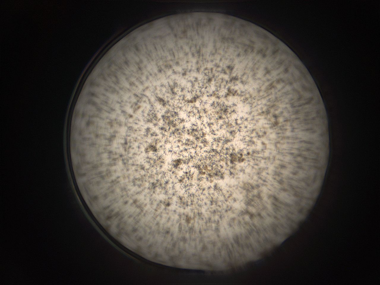 05r9_M1_ImagerDefaults_9.jpg