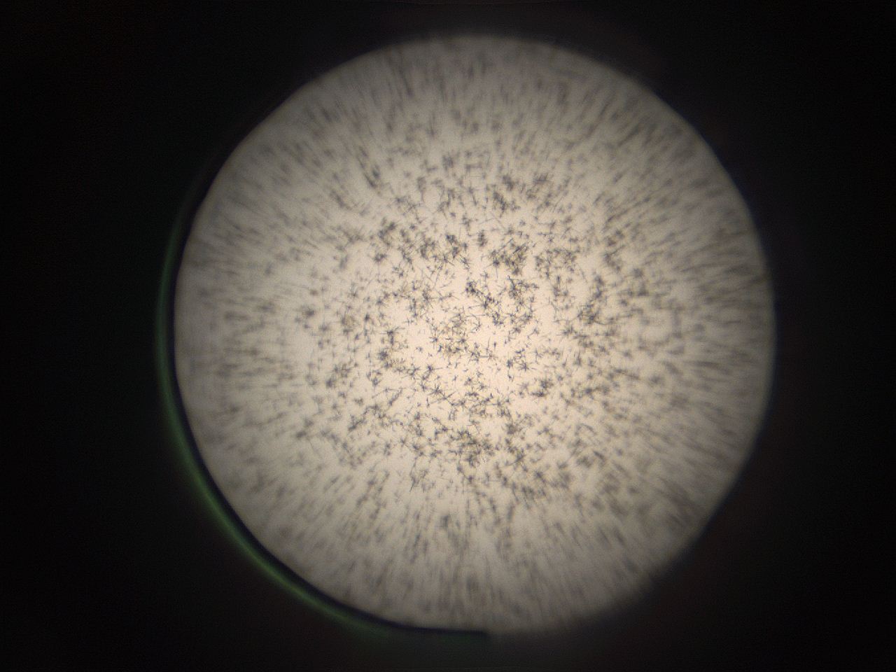05r9_M2_ImagerDefaults_9.jpg