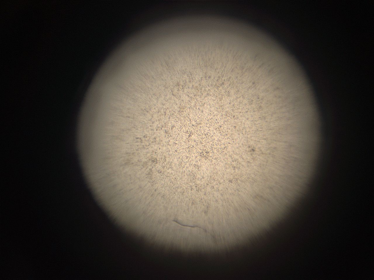 05r9_M13_ImagerDefaults_9.jpg