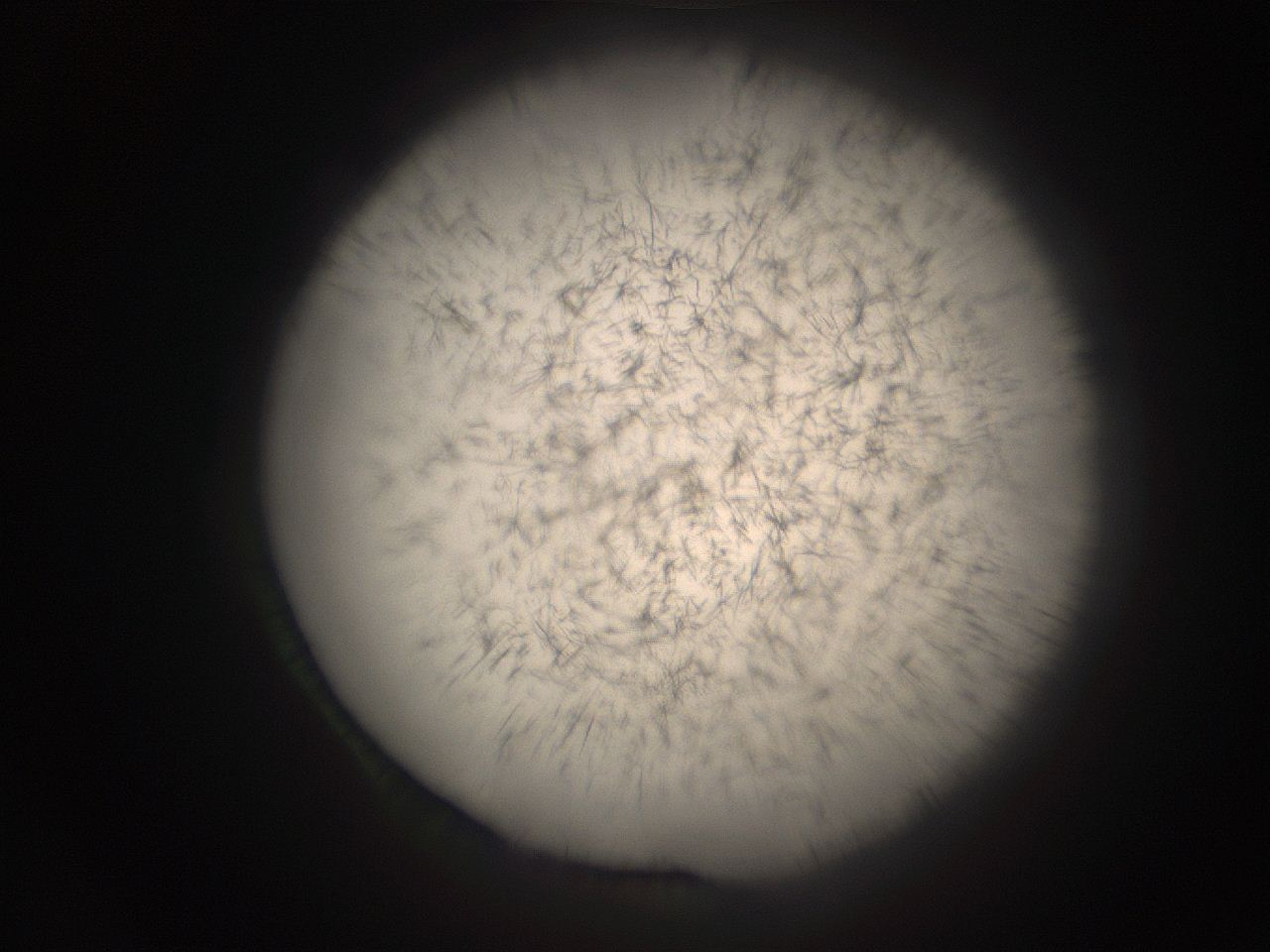 05r9_O13_ImagerDefaults_9.jpg