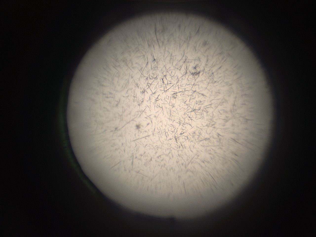 05r9_O14_ImagerDefaults_9.jpg