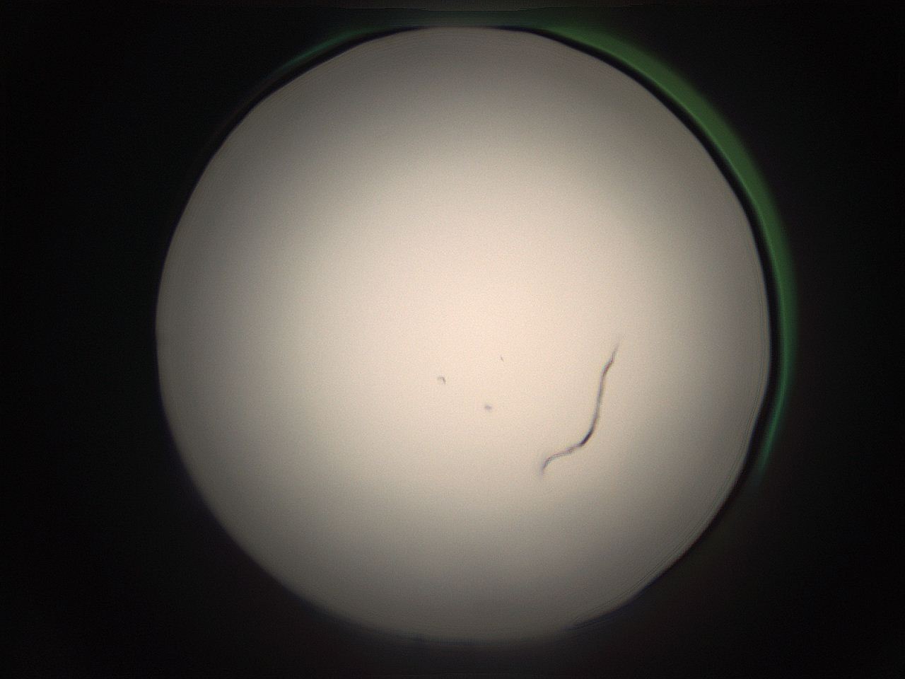 05ra_C22_ImagerDefaults_1.jpg