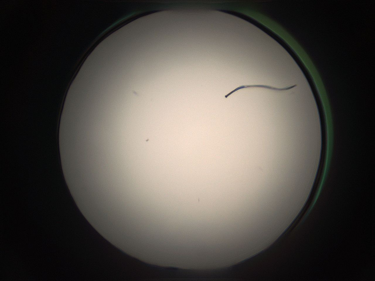05ra_C24_ImagerDefaults_1.jpg
