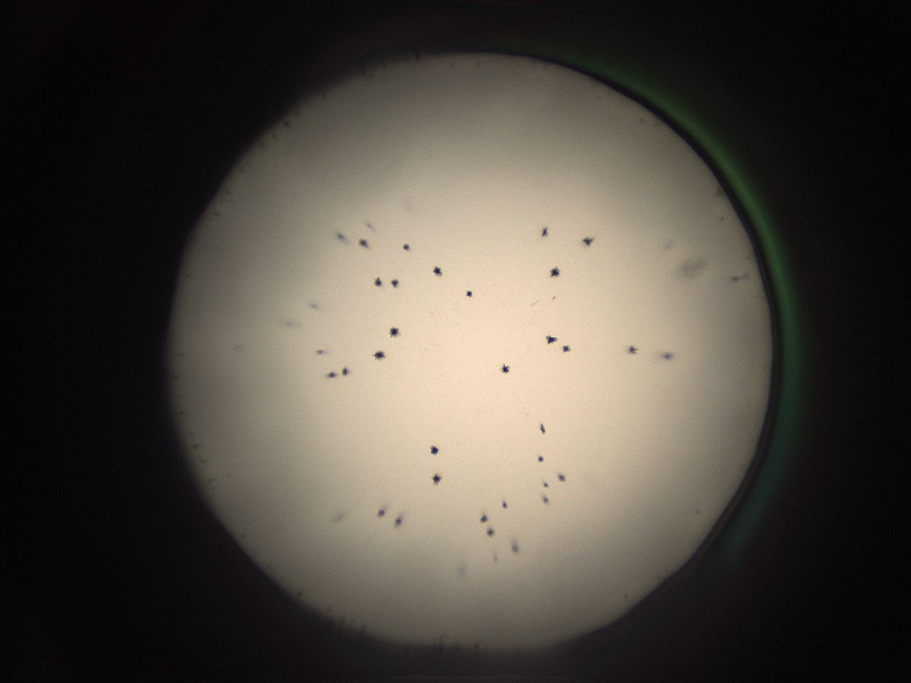 05ra_C1_ImagerDefaults_9.jpg