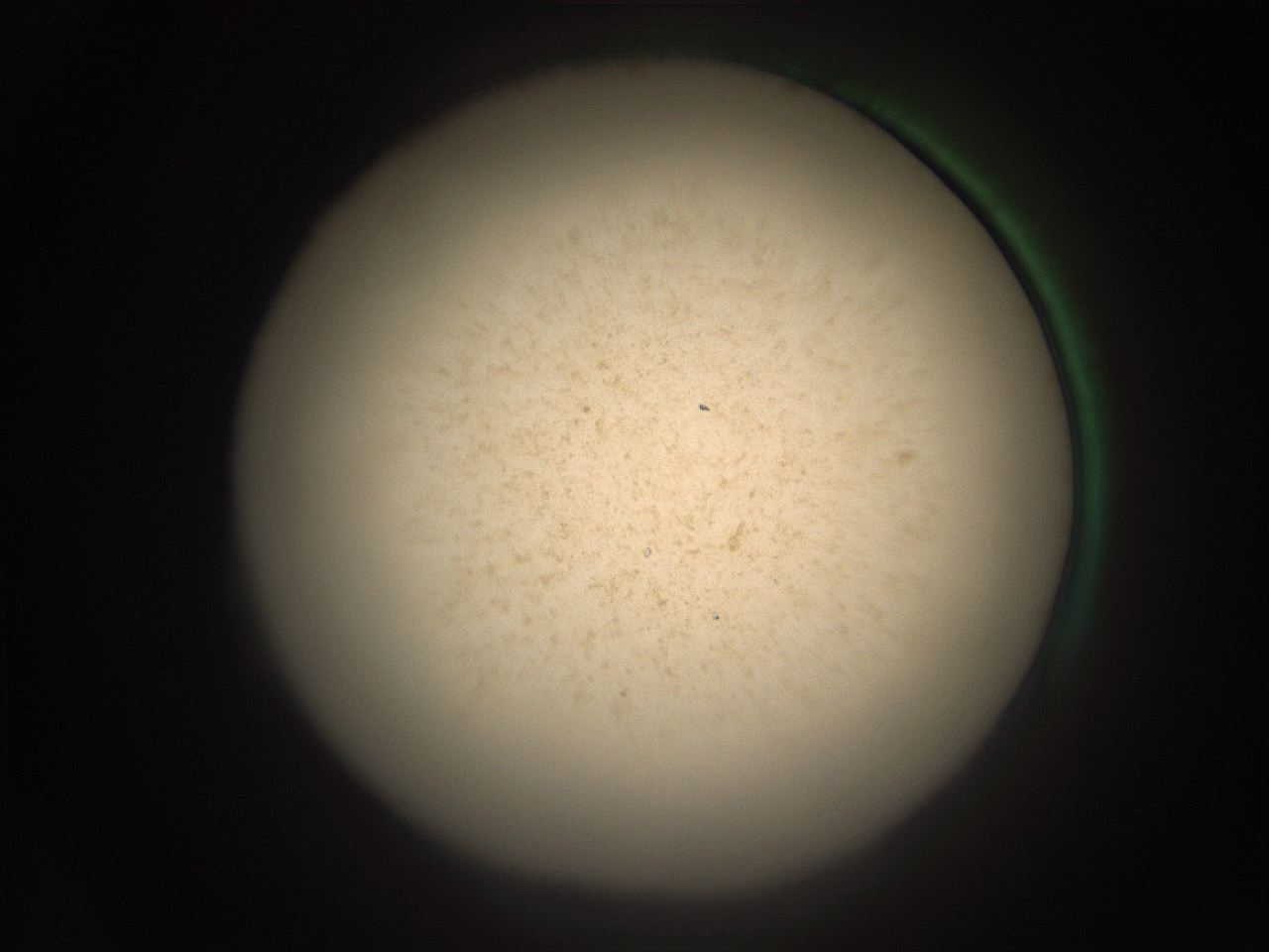 05ra_B14_ImagerDefaults_9.jpg