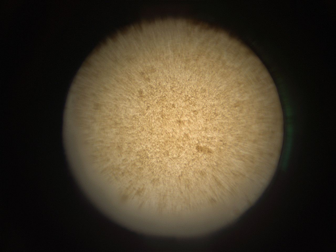 05ra_B13_ImagerDefaults_9.jpg