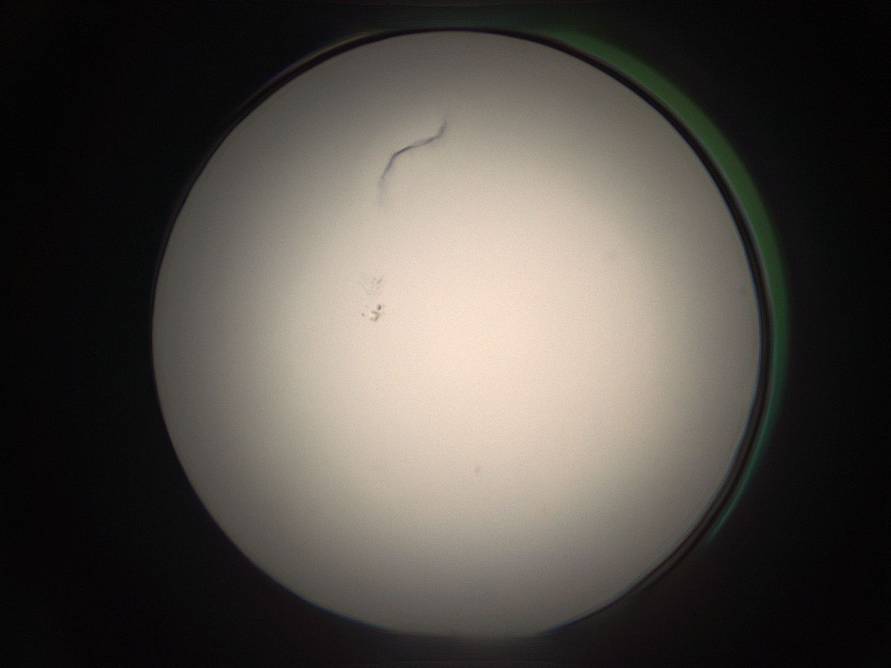 05ra_A19_ImagerDefaults_1.jpg