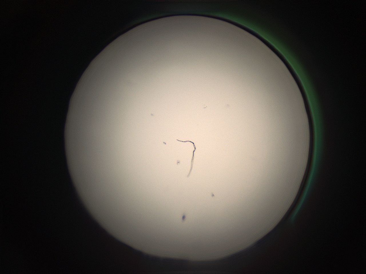 05ra_B18_ImagerDefaults_1.jpg
